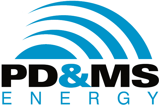 Logo PD&MS 1