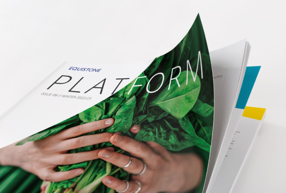 platform teaser